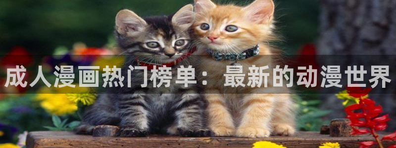神马电影院午夜达达兔