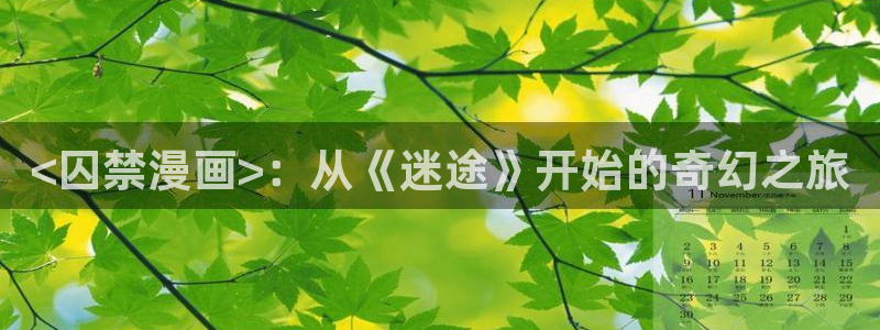 神马影视特片网