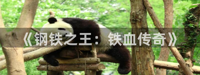 上流社会神马影院