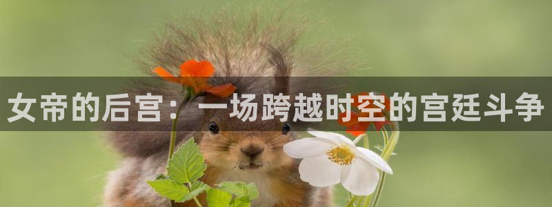 www.94神马影院：女帝的后宫：一场跨越时空的宫廷斗争