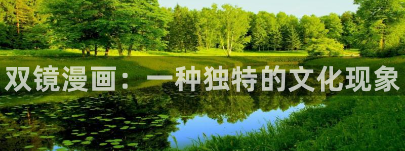 神马电影卡不卡：双镜漫画：一种独特的文化现象