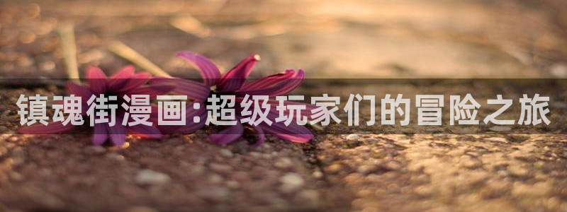 神马电影网福利