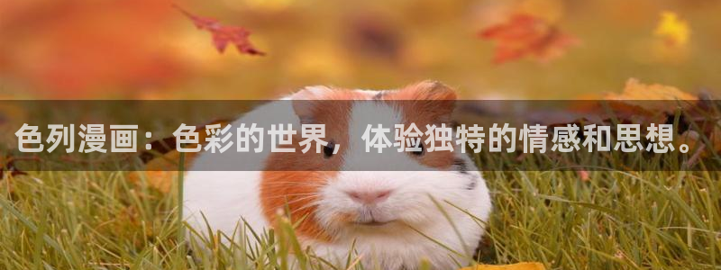 神马第九电影