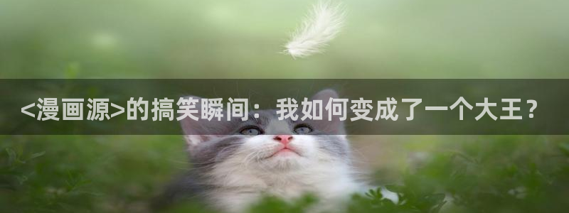 神马午夜电影达达兔库