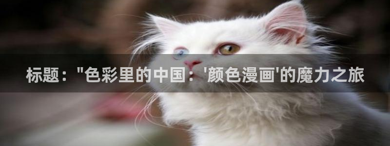神马手机免费电影