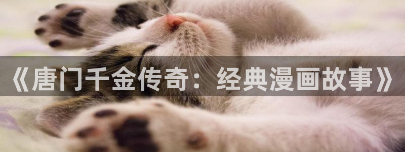 达达兔神马电影院