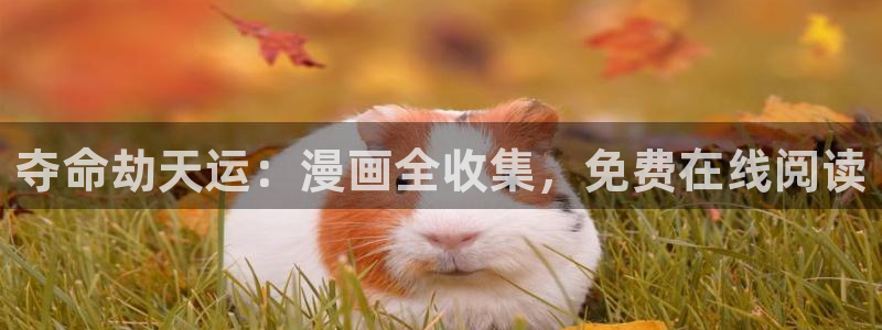 神马电影嫂子的职业