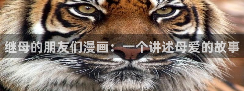 神马第九达达兔影院在线免费观看