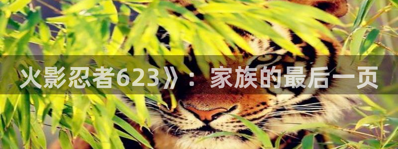 姐姐的朋友神马电影