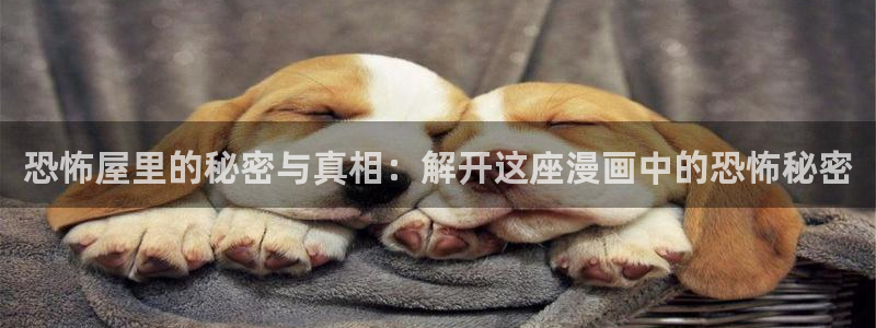 神马在线看