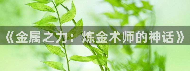 神马电影嫂子