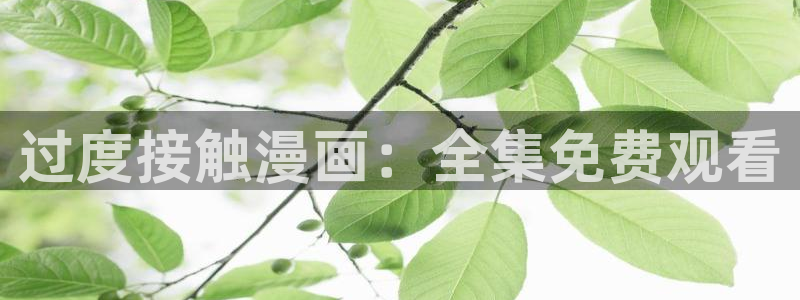 神马影视播放