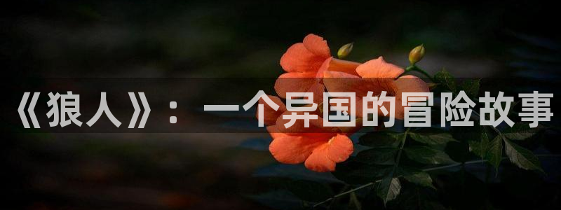 神马特片秋霞