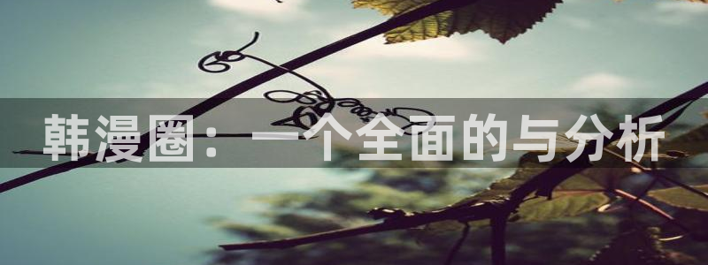 神马电影院官网：韩漫圈：一个全面的与分析