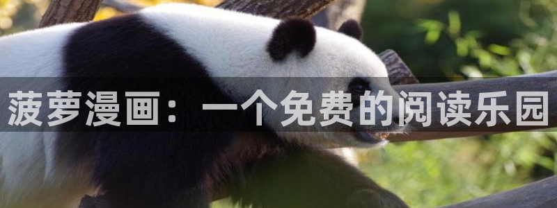 神马电影dy888午夜伦理：菠萝漫画：一个免费的阅读乐园